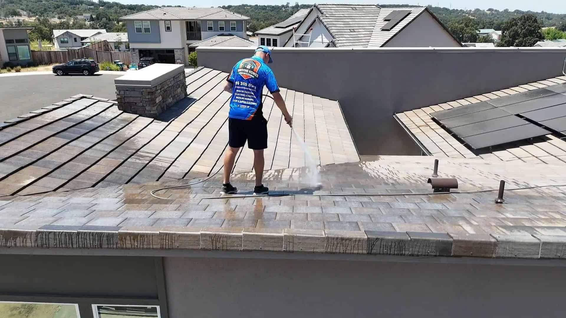 Roof Cleaning image