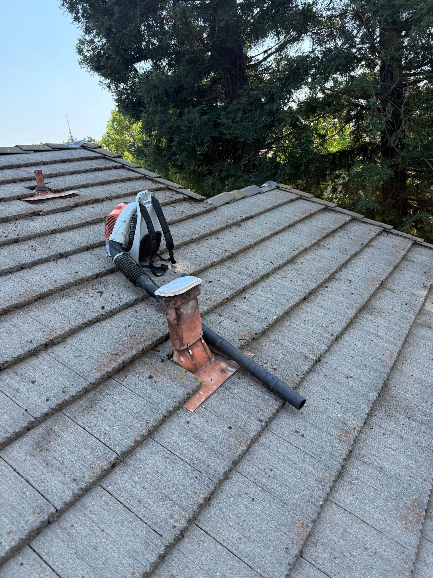Gallery photos for Expert Roof Cleaning in Folsom Enhances Durability: Image #3