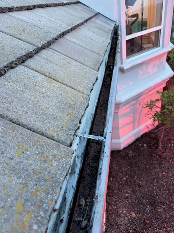 Project Roof and Gutter Cleaning to Safeguard Homes in El Dorado Hills image