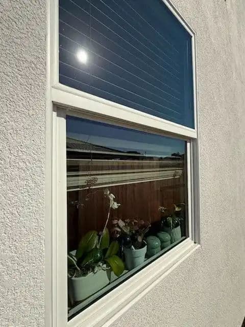 Sparkling Window Transformation in West Roseville