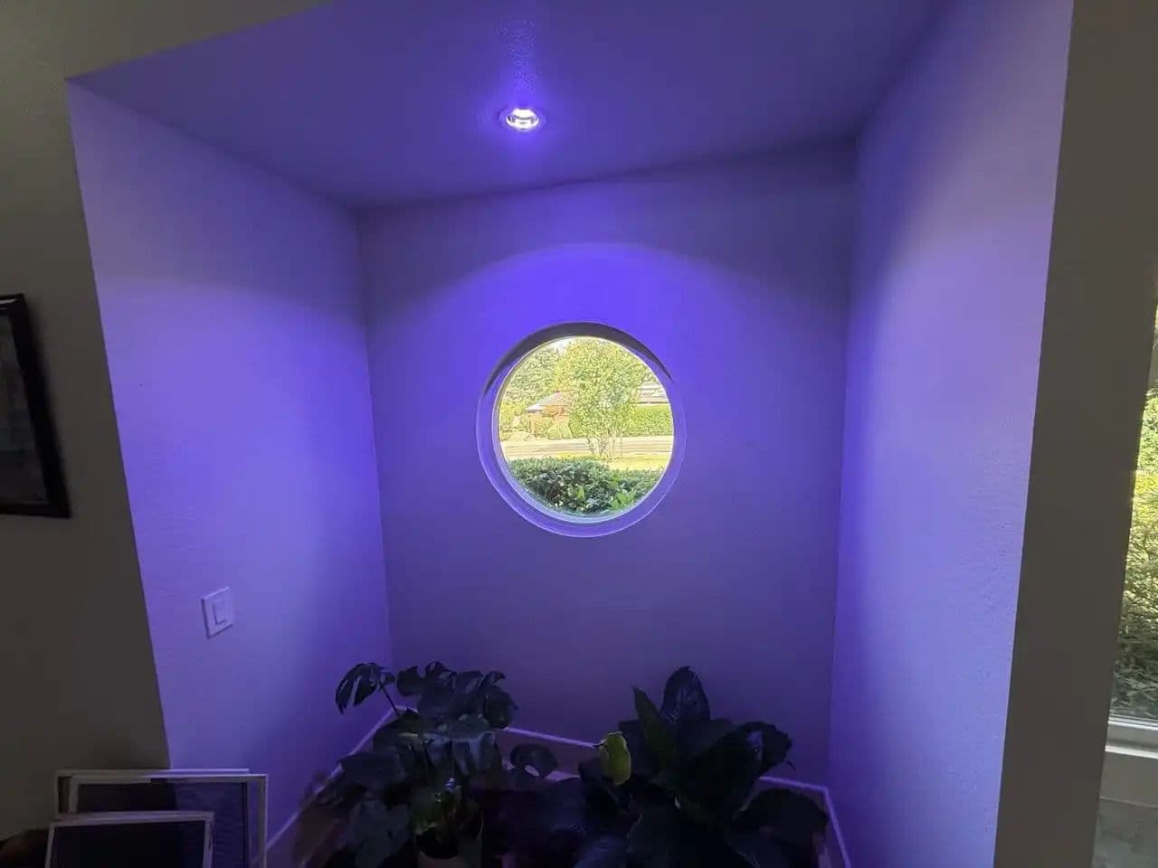 Project Transforming Carmichael Home with Clear Views image