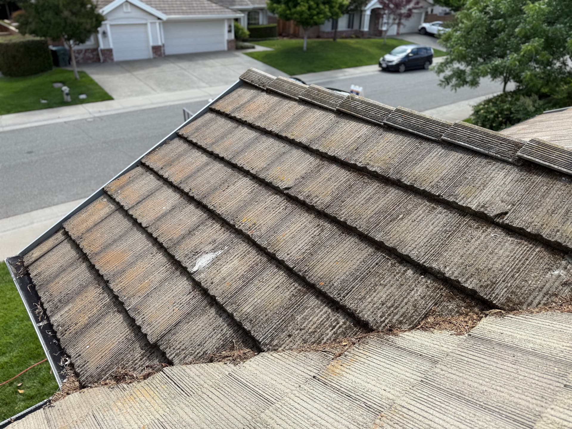 Why Are There Black Streaks and Moss on My Tile Roof? image