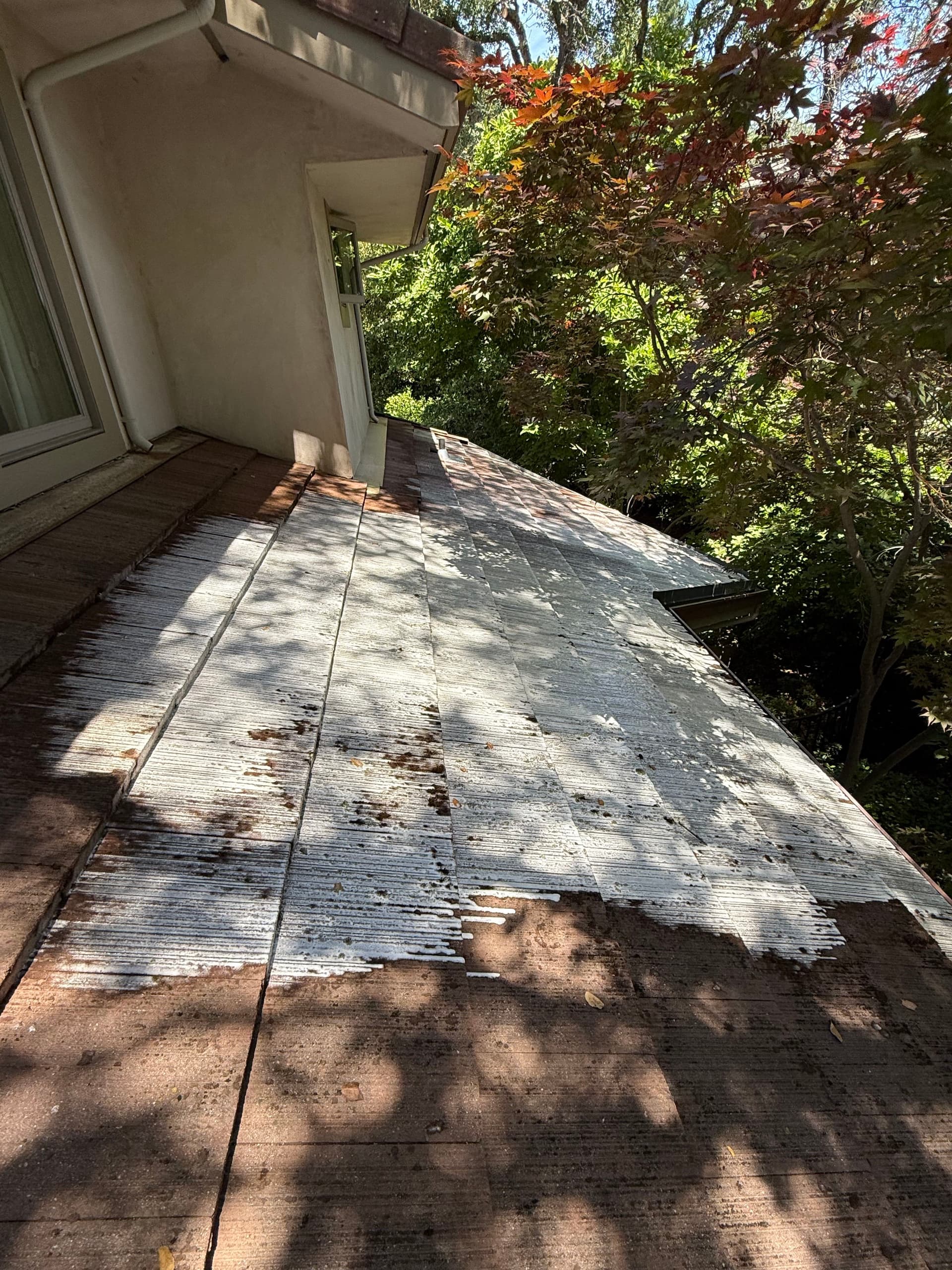 DIY vs Professional Tile Roof Cleaning image