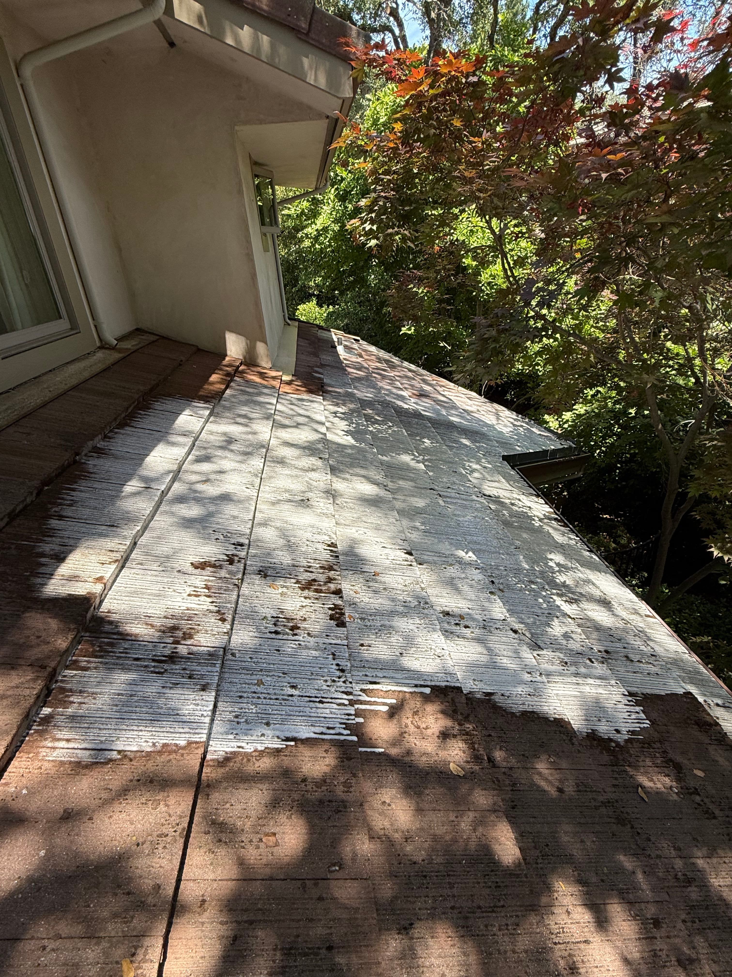 Featured post - DIY vs Professional Tile Roof Cleaning