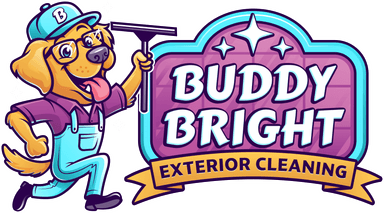 Buddy Bright Window Cleaning
