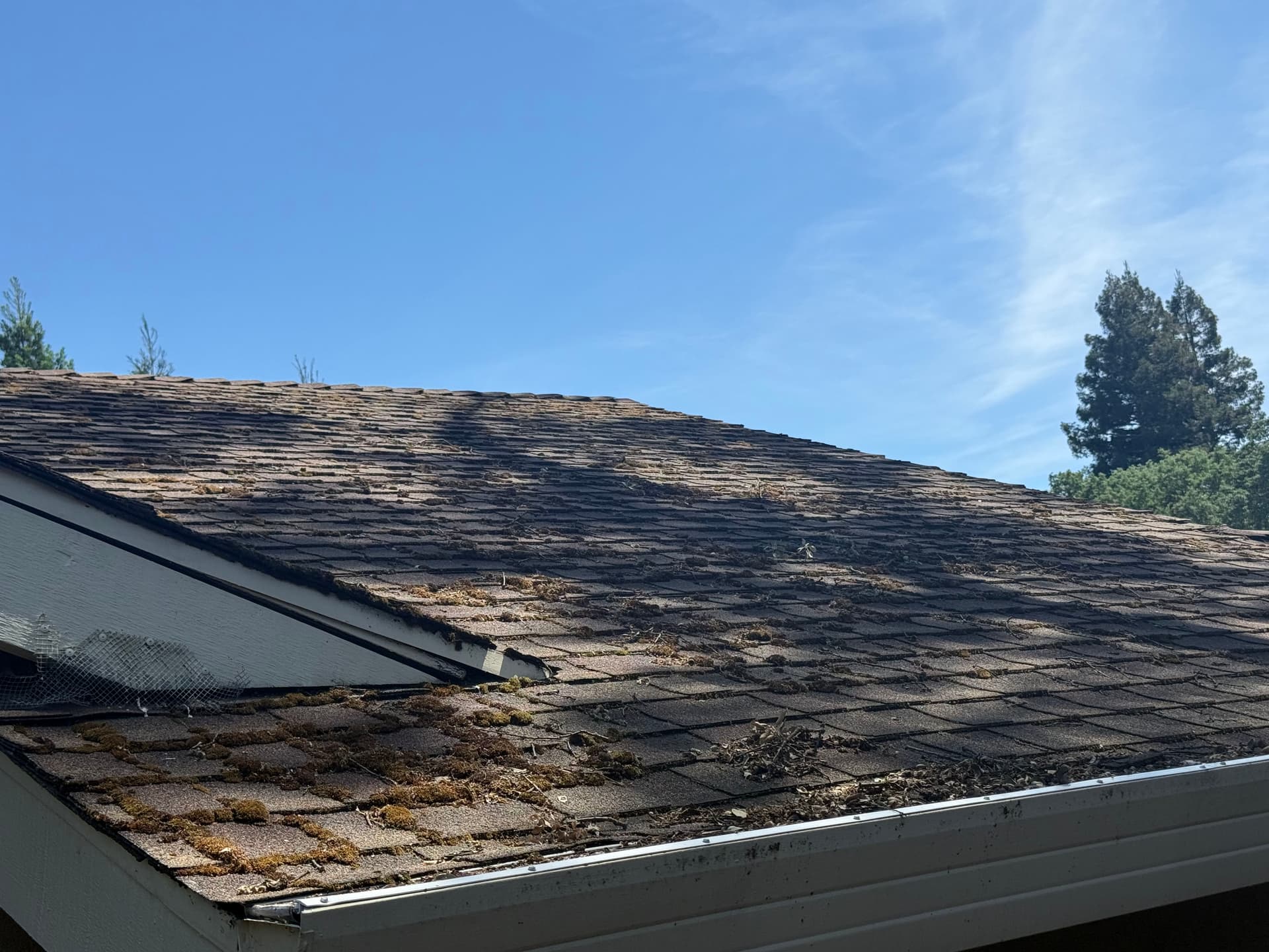 Gallery photos for Moss Removal Roof Cleaning and Gutter Cleaning in Roseville CA: Image #2