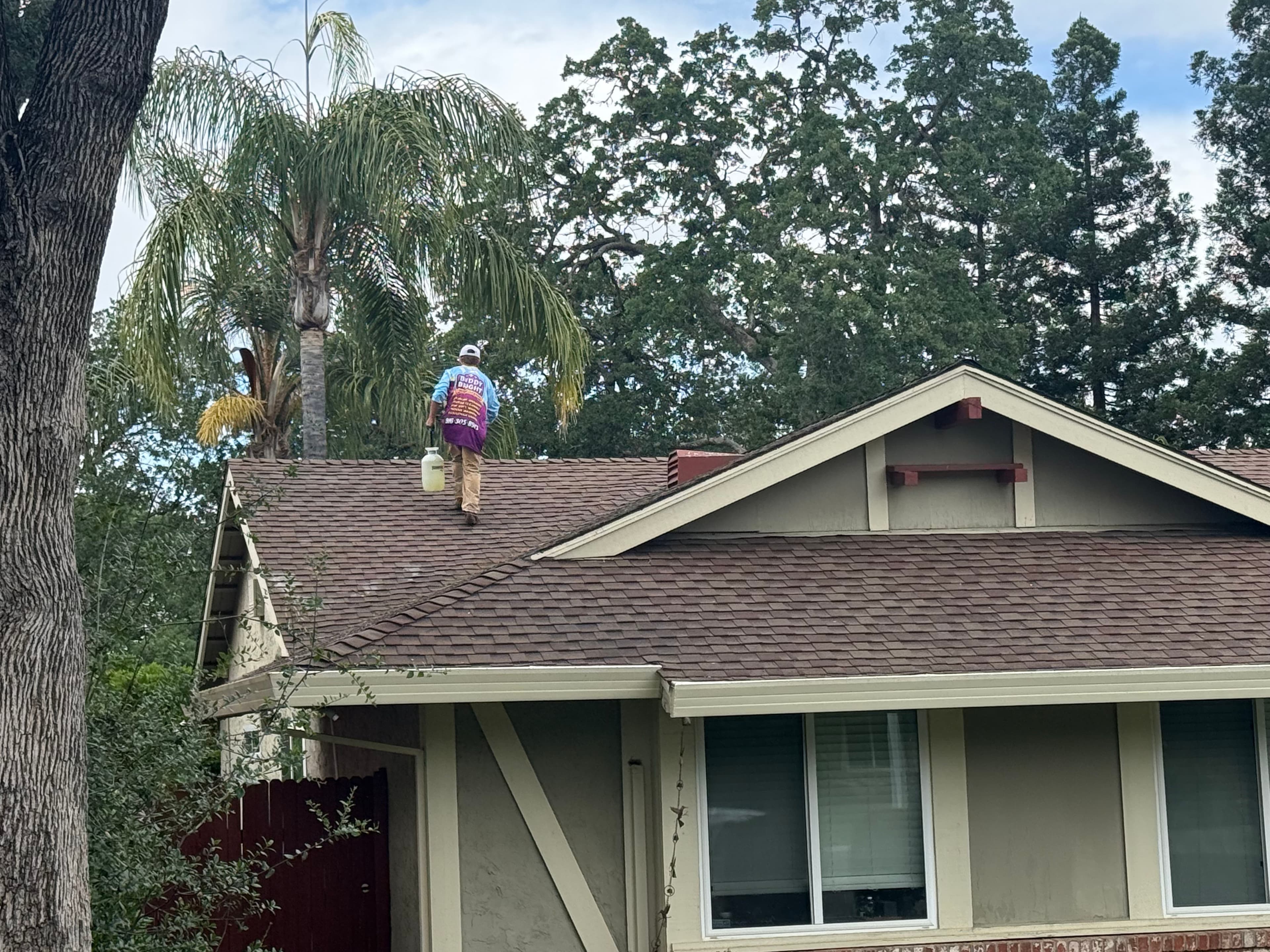 Project Moss Removal Roof Cleaning and Gutter Cleaning in Roseville CA image