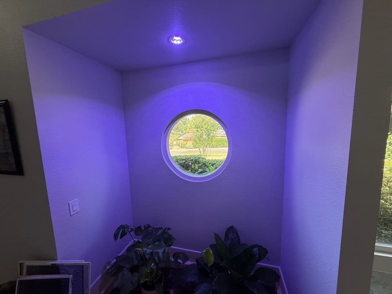 Transforming Carmichael Home with Clear Views image