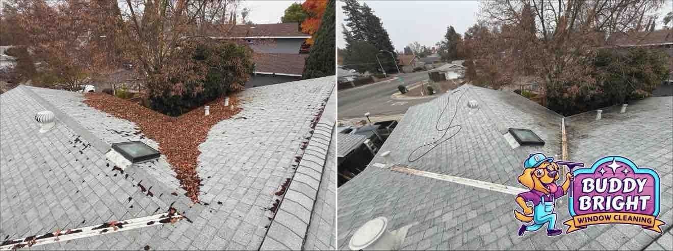 Project Roof Cleaning Success in Sacramento image