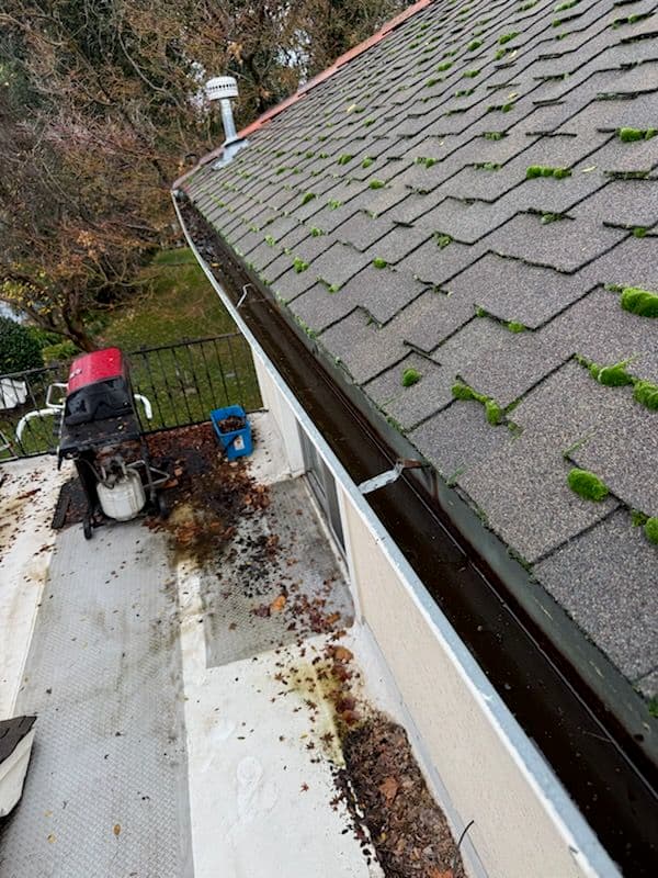 Project Ready for Autumn in Sacramento image