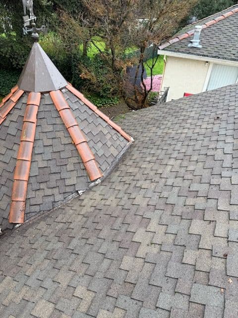 Gallery photos for Ready for Autumn in Sacramento: Image #1