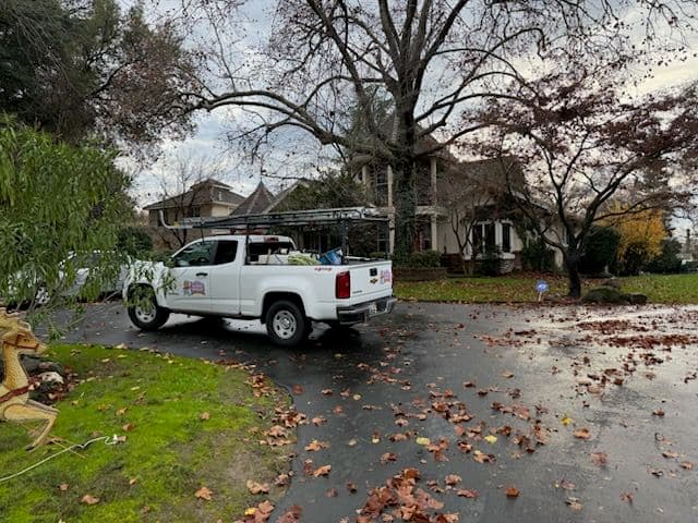 Gallery photos for Ready for Autumn in Sacramento: Image #2