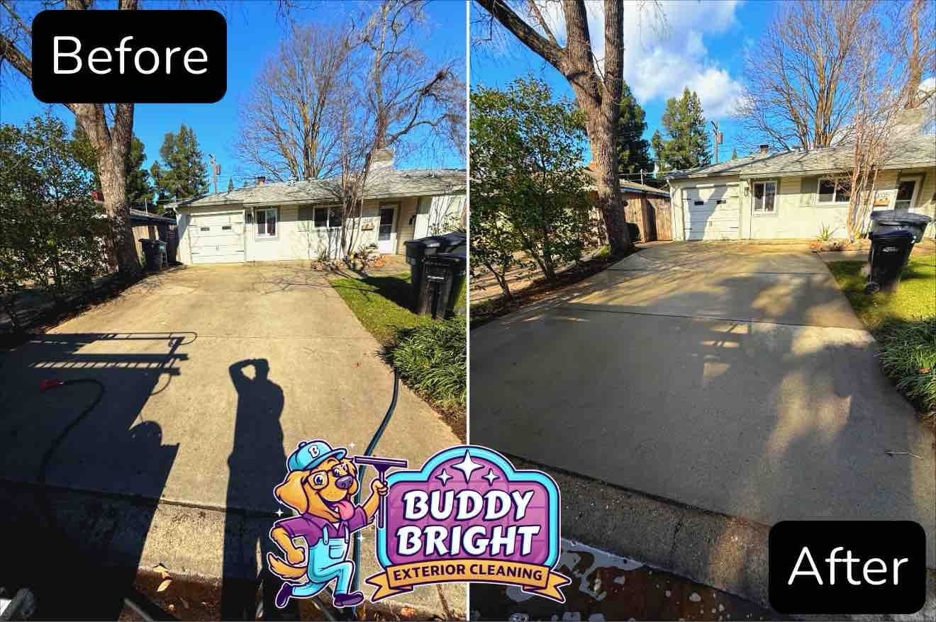 Gallery photos for Driveway Makeover by Buddy Bright: Image #3