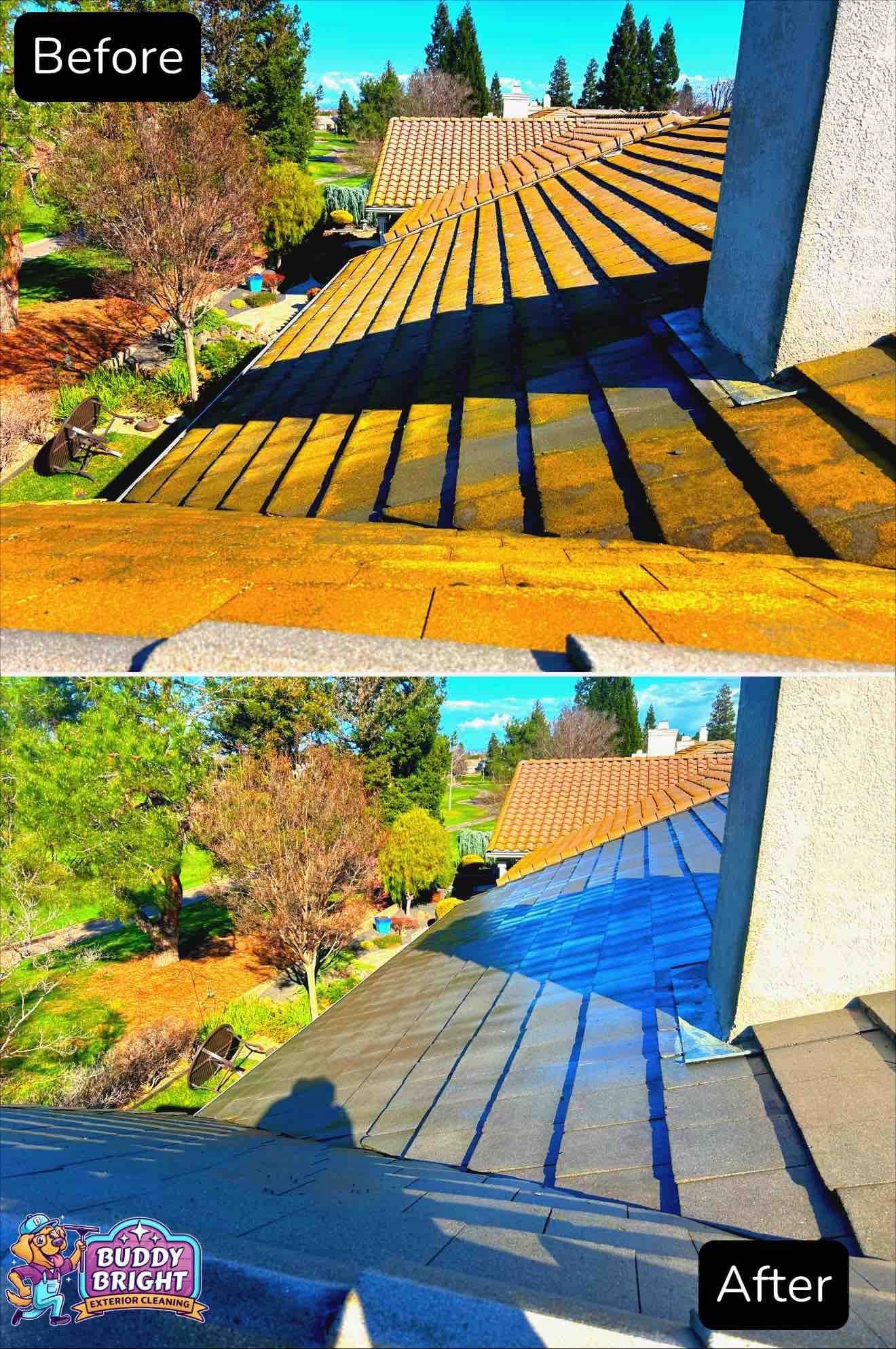 Gallery photos for From Grimy to Gleaming in Roseville: Image #1