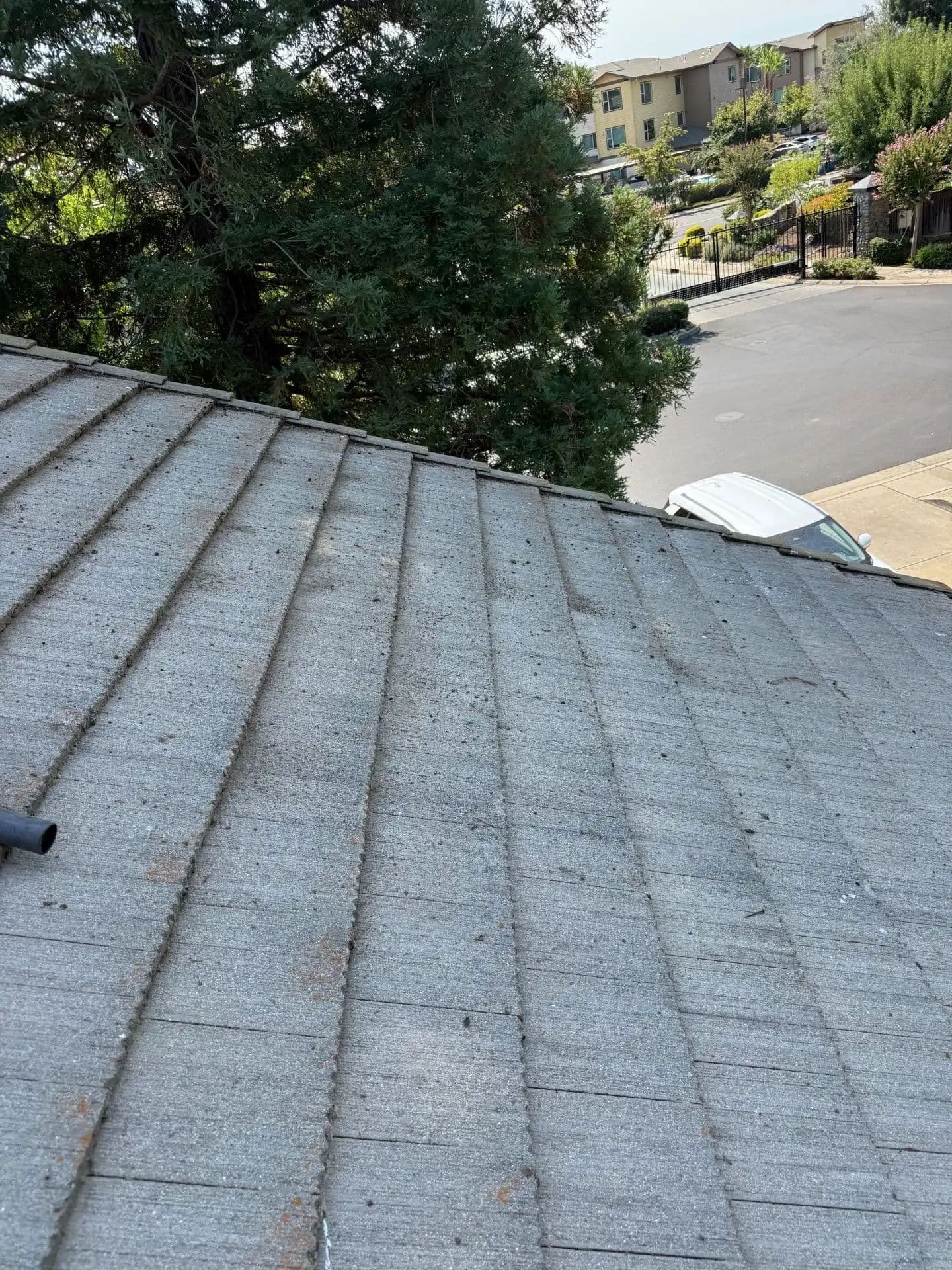 Gallery photos for Expert Roof Cleaning in Folsom Enhances Durability: Image #4