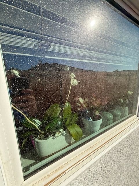 Gallery photos for Sparkling Window Transformation in West Roseville: Image #3