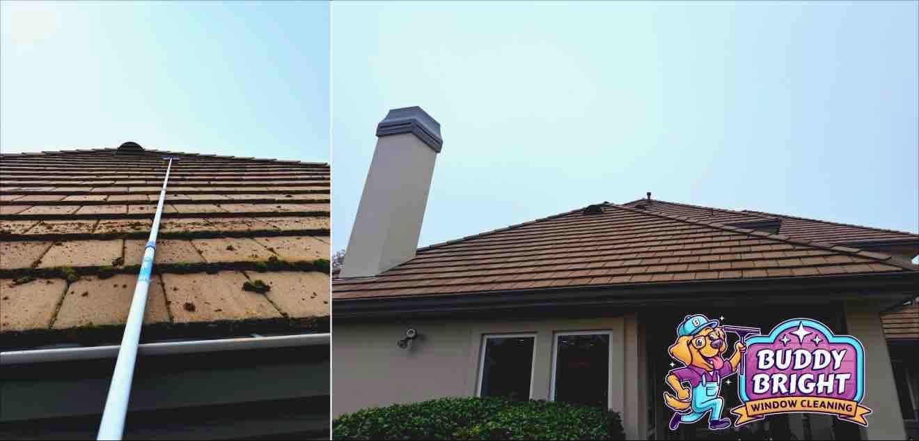Roof Cleaning and Moss Removal in El Dorado Hills image